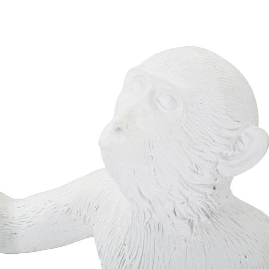 Monkey műgyanta asztali lámpa