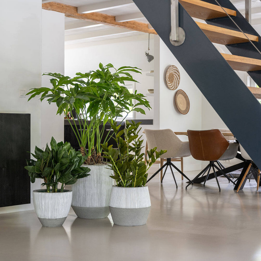 Harley stone flower pot Ø36