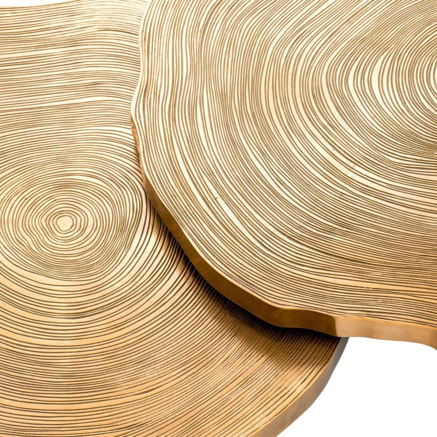 Thousand Oaks wooden coffee table set