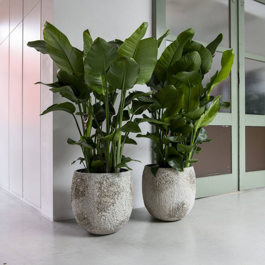 Gillard stone flower pot Ø45