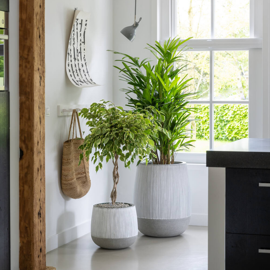 Pax kő virágtartó Ø55