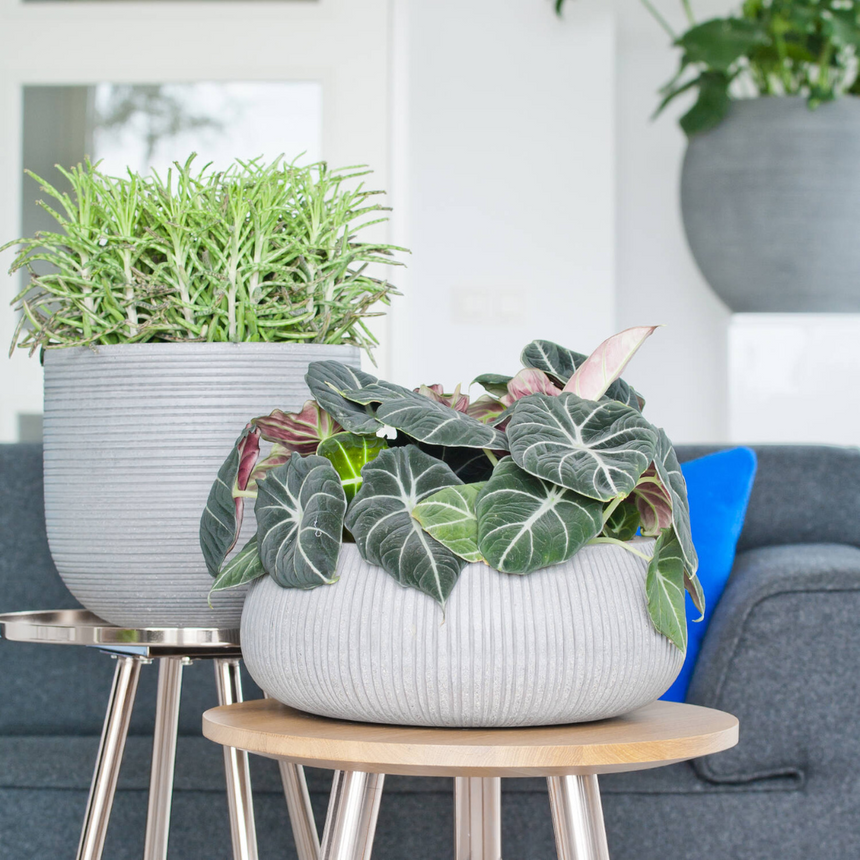 Eileen stone flower pot Ø36