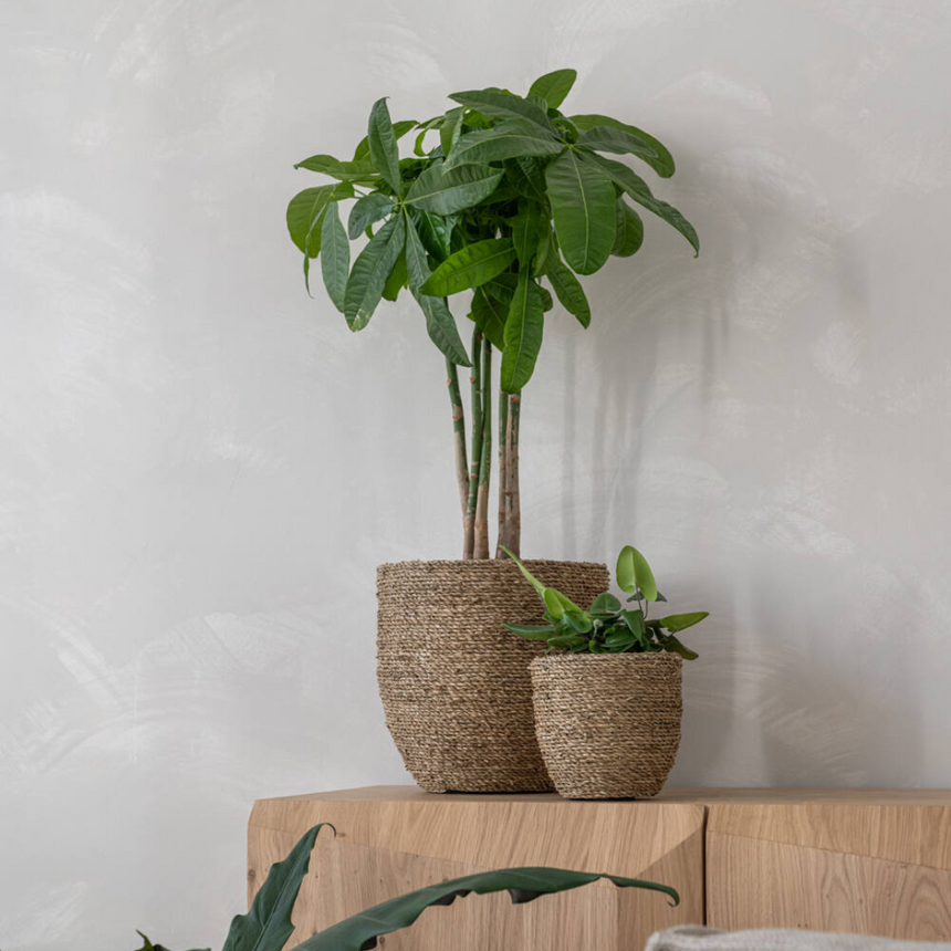 Cody wicker flower pot Ø33