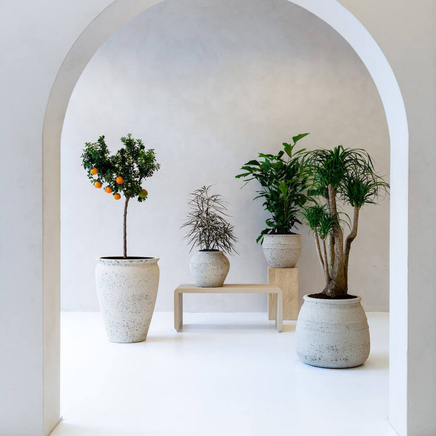 Artemis stone flower pot Ø53