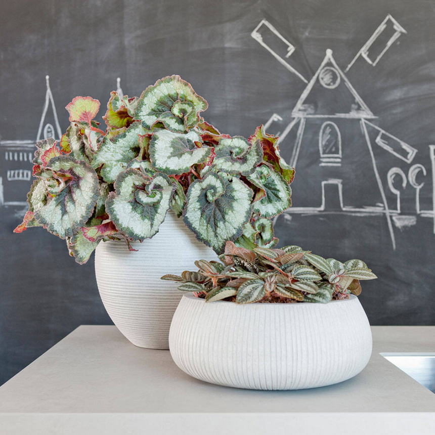 Eileen stone flower pot Ø36