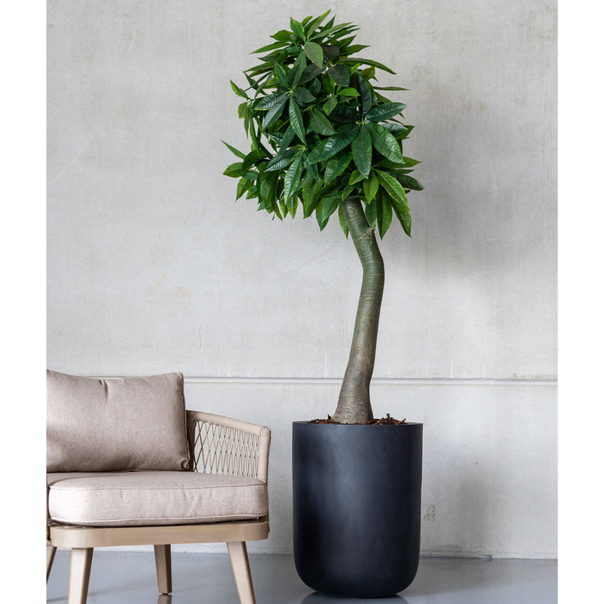 Dice stone flower pot Ø34