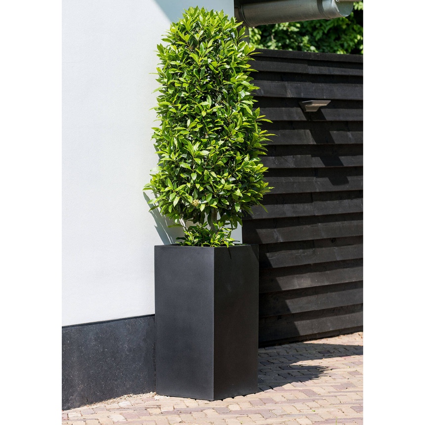 Bouvy stone flower pot 30x60