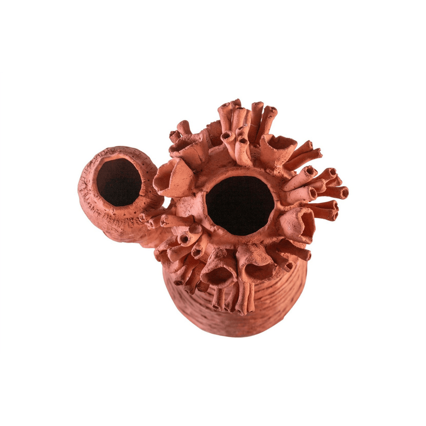 Reef 2 clay decoration