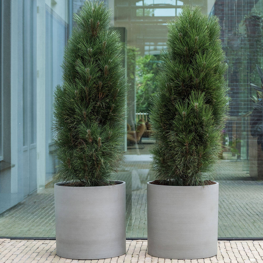 Max stone flower pot Ø29