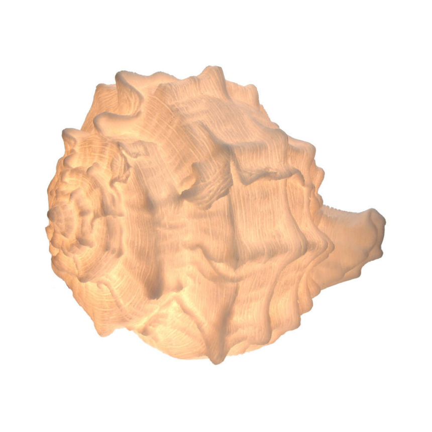 Booq acrylic bookend