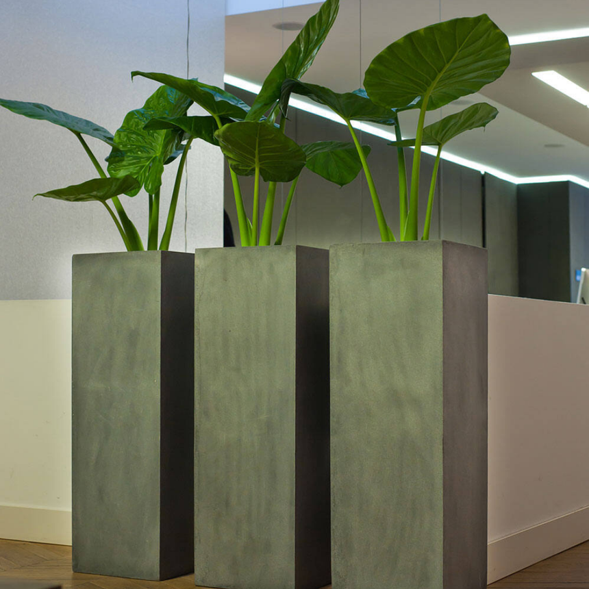 Bouvy stone flower pot 50x120