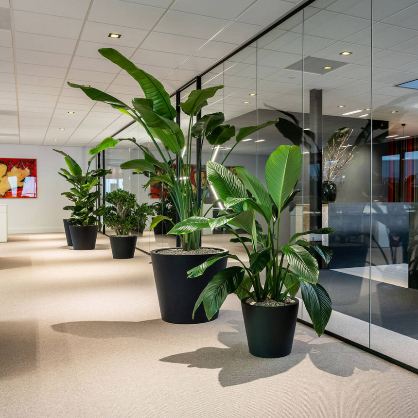 Jumbo Bucket stone flower pot Ø83