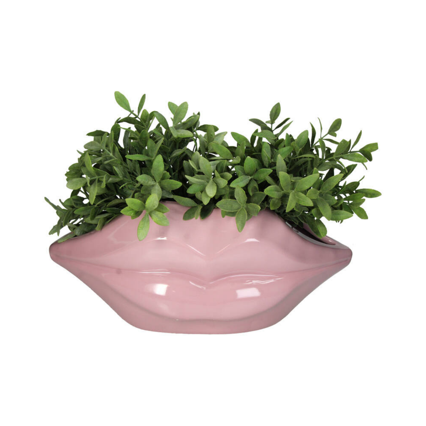 Booq acrylic bookend