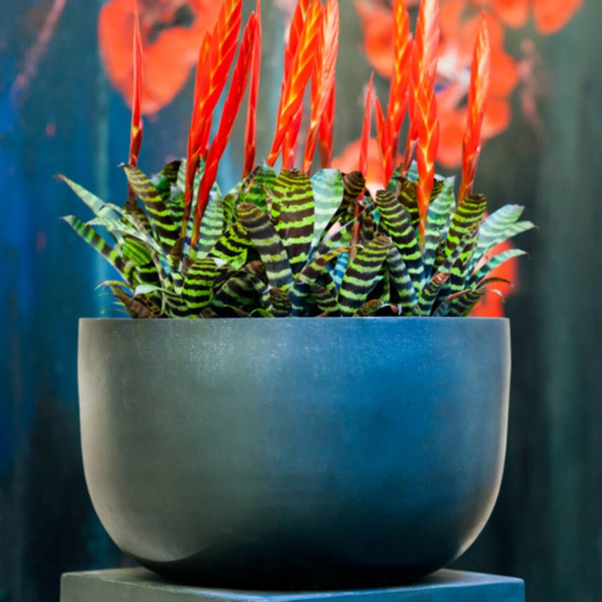 Sunny stone flower pot Ø45