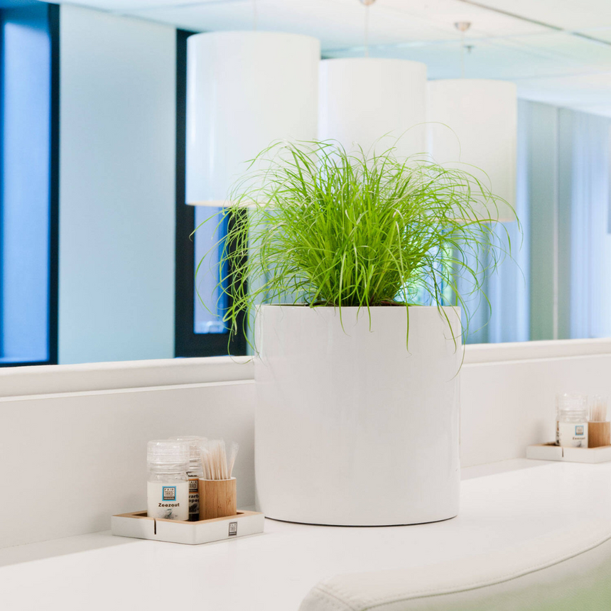 Max stone flower pot Ø24