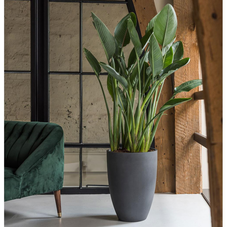 Ben stone flower pot Ø40