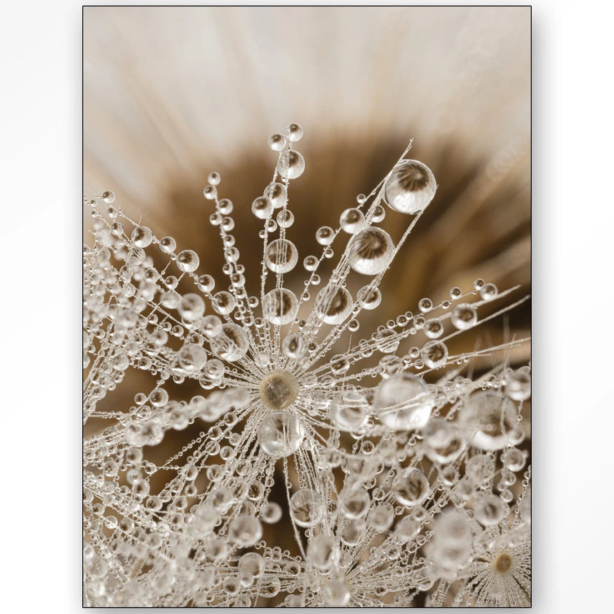 Gifts Of Nature design canvas print