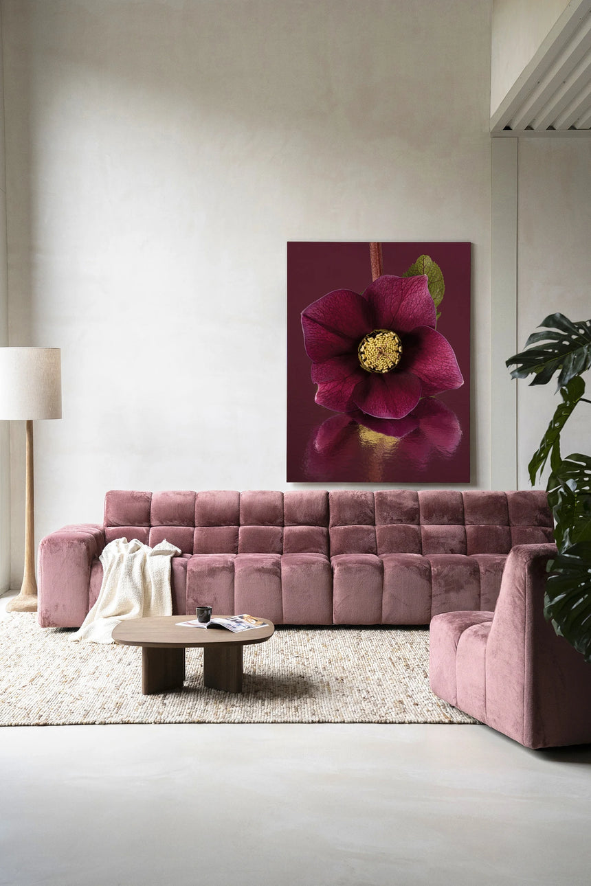 Gifts Of Nature design canvas print