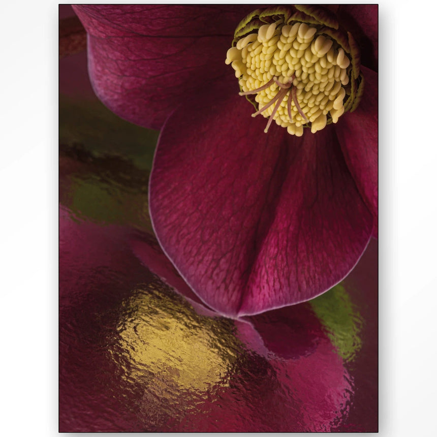 Weerspiegeling Van Een Kerstroos dizájn vászonkép