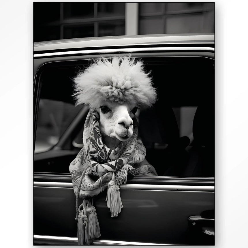 Alpaca In Taxi dizájn vászonkép