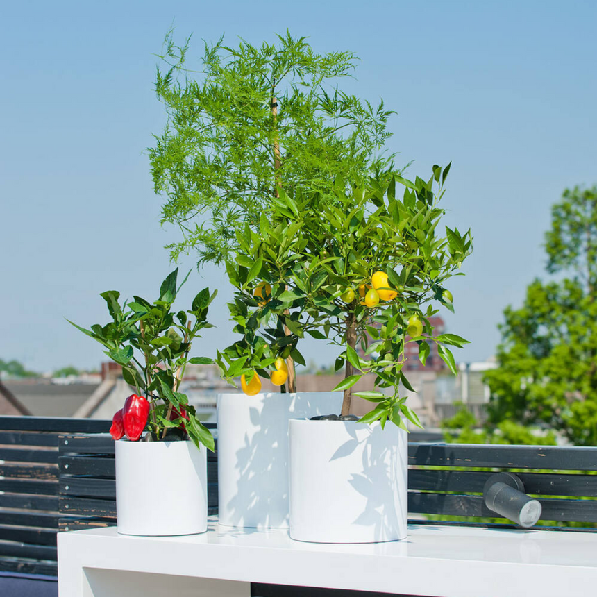 Max stone flower pot Ø24