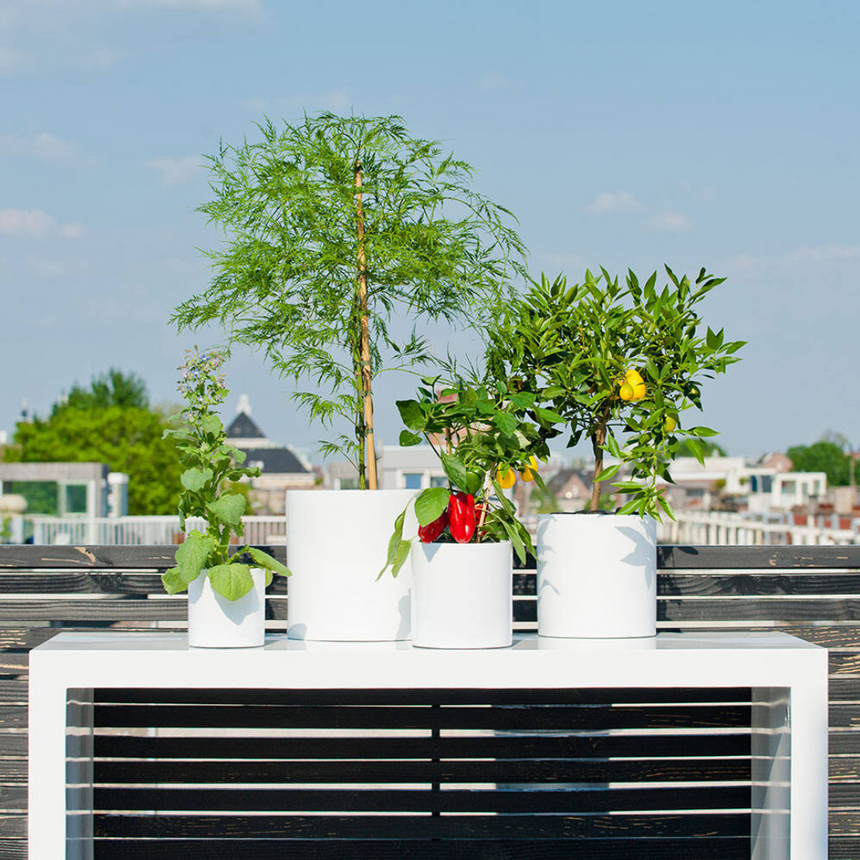 Max stone flower pot Ø43