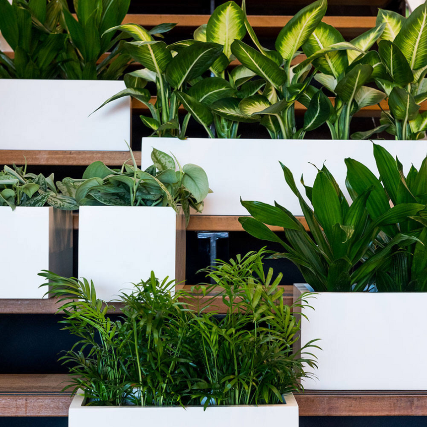 Balcony stone flower pot 50x20