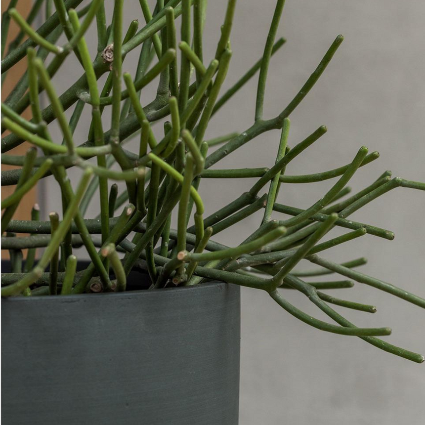 Ben stone flower pot Ø40