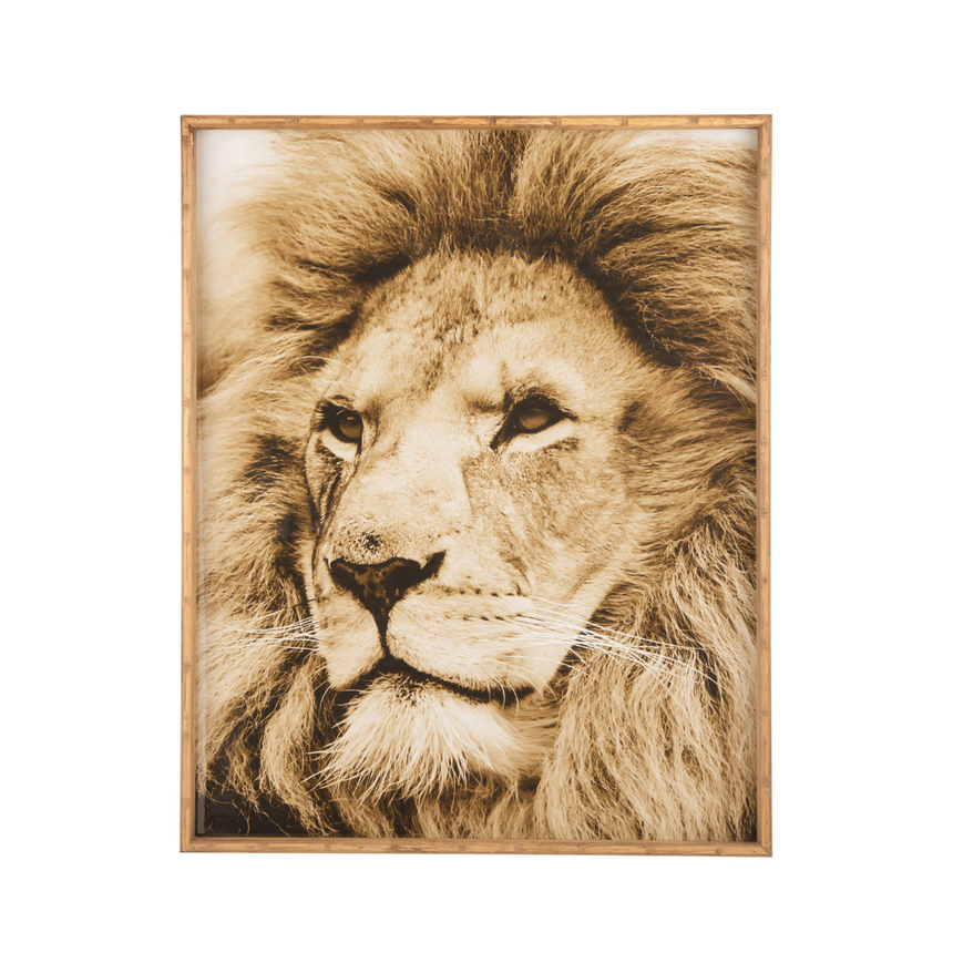 Lion3 üveg falikép