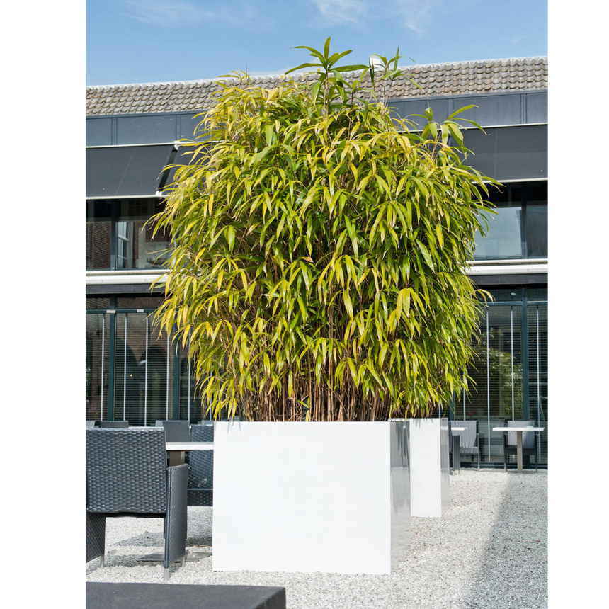 Jumbo stone flower pot 110x110