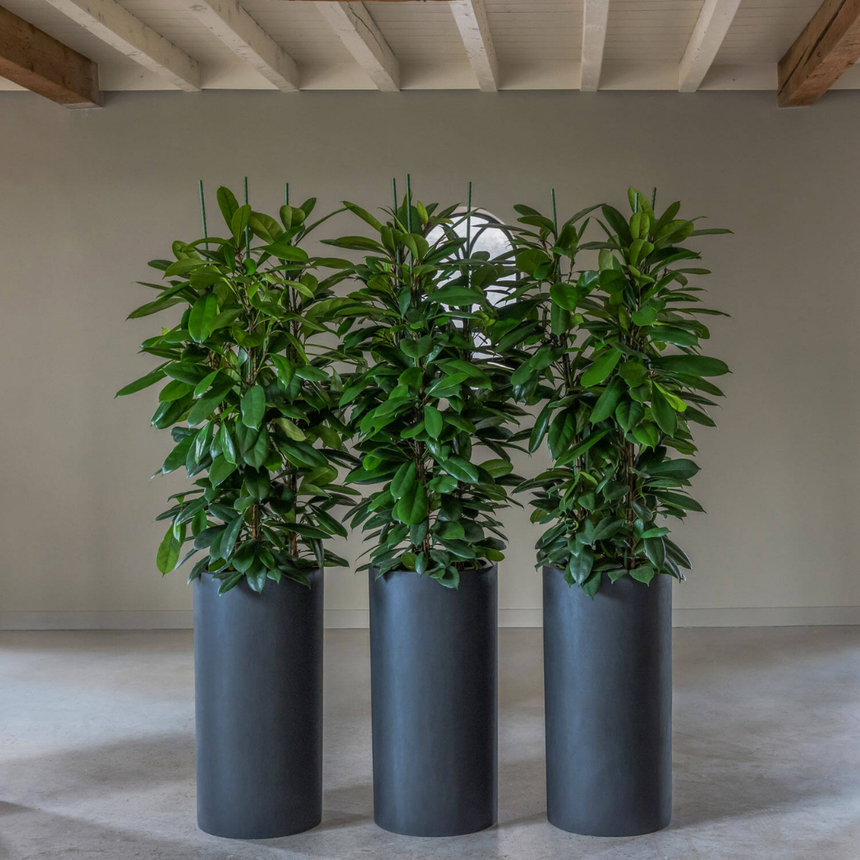 Klax stone flower pot Ø40