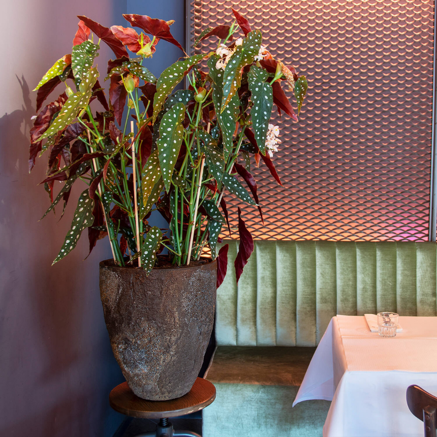 Bernd stone flower pot Ø33