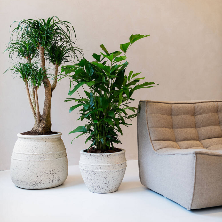 Hestia stone flower pot Ø52