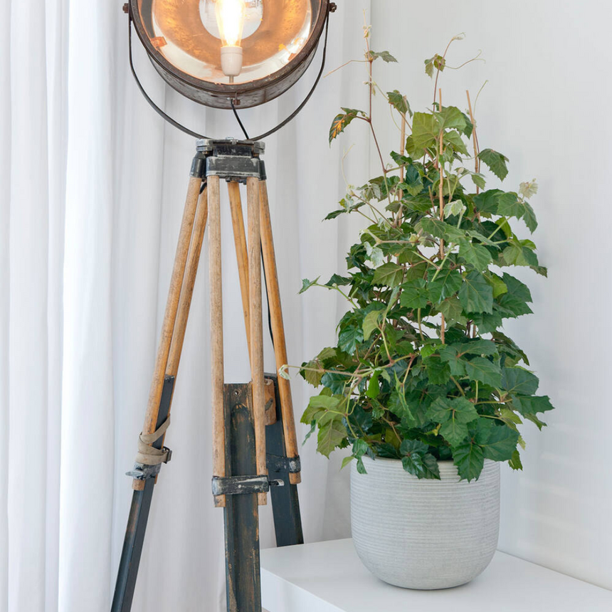 Cody stone flower pot Ø42