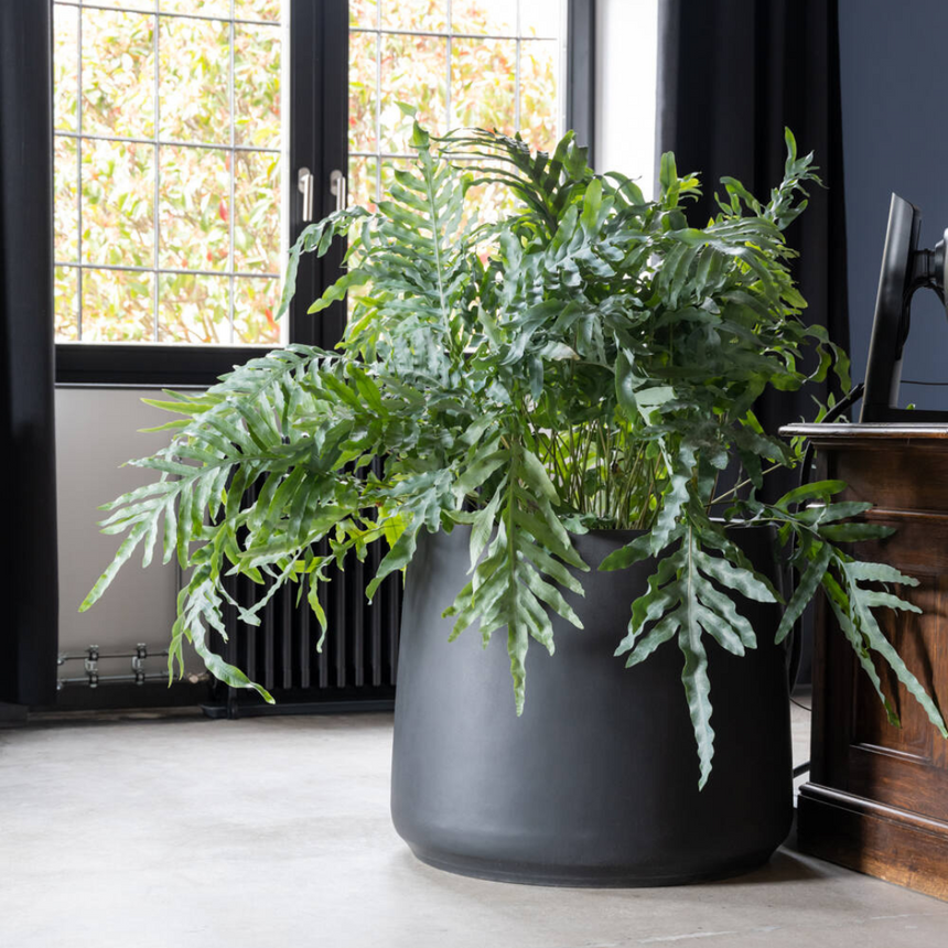 Jumbo Patt kő virágtartó Ø119