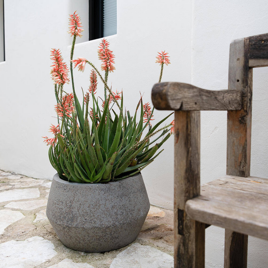 Harley Low stone flower pot Ø36