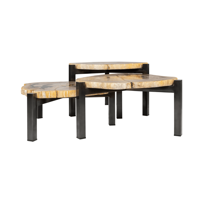 Petrified fa dohányzóasztal szettben