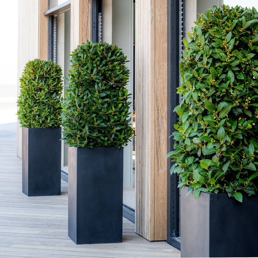 Bouvy stone flower pot 40x80