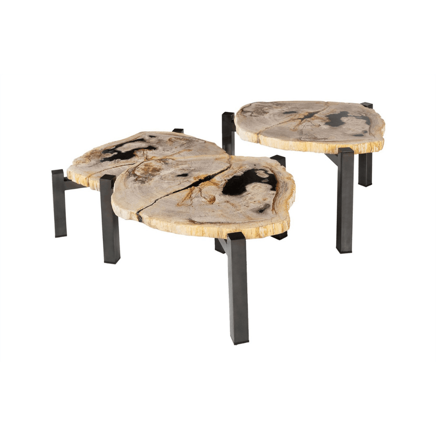 Petrified fa dohányzóasztal szettben