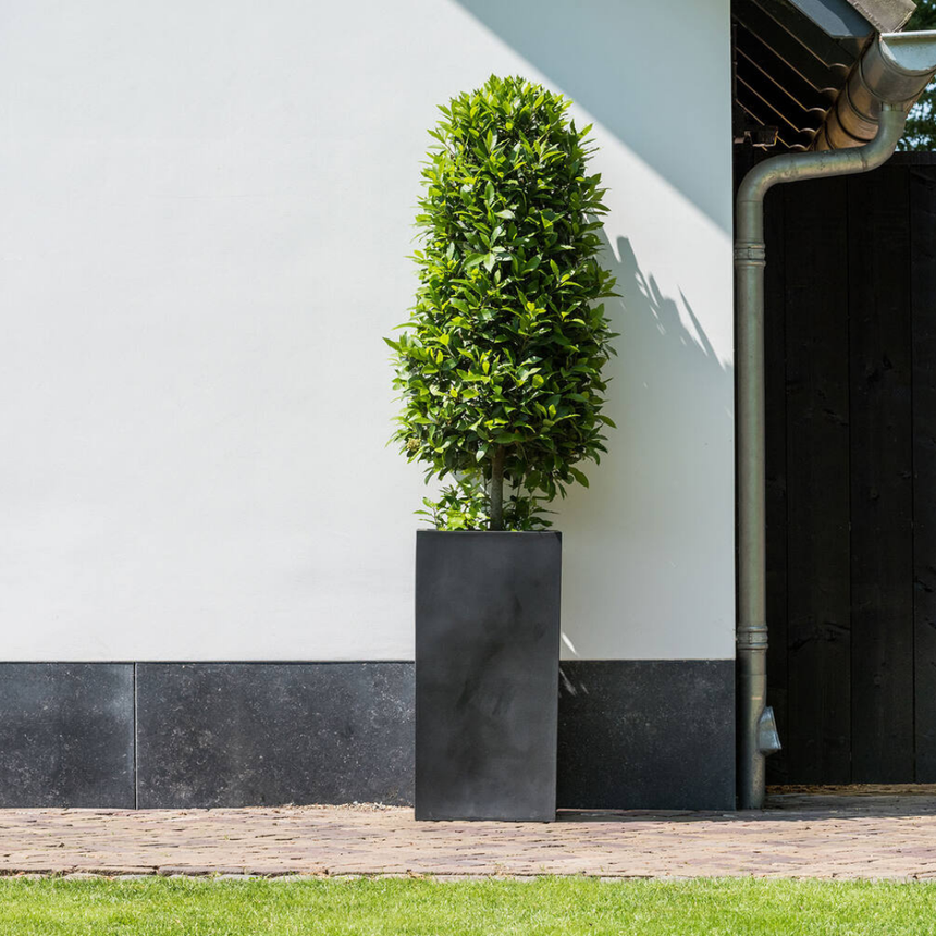 Bouvy stone flower pot 50x100