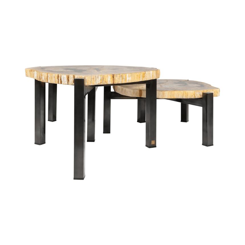 Petrified fa dohányzóasztal szettben