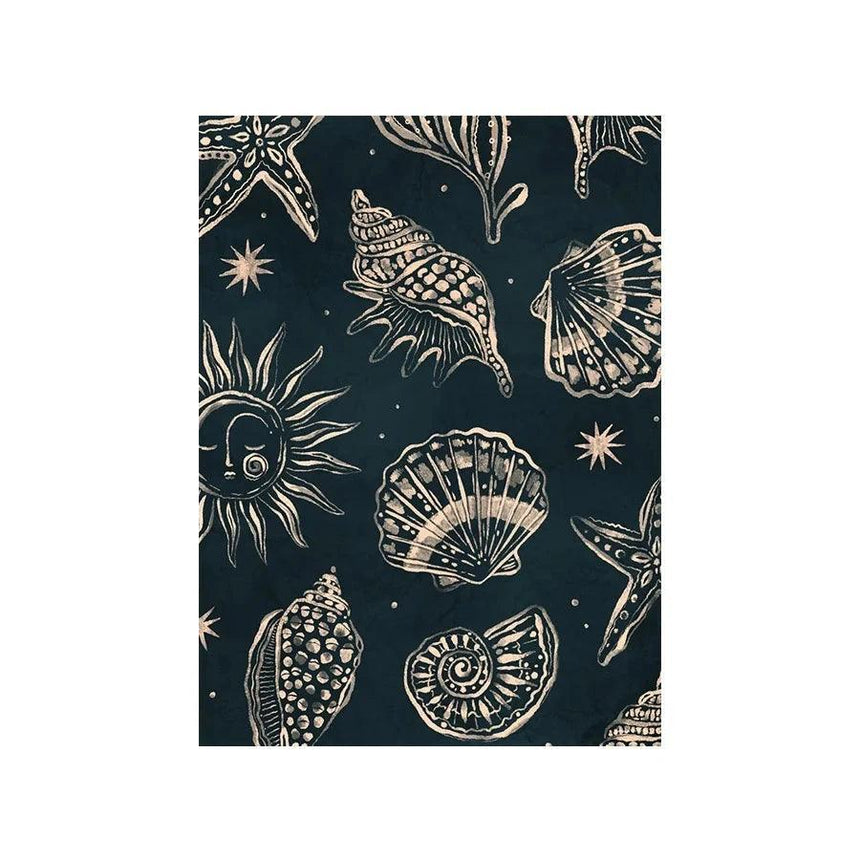 Seashells Midnight design canvas print