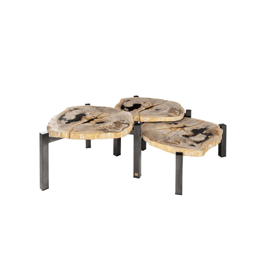 Petrified fa dohányzóasztal szettben