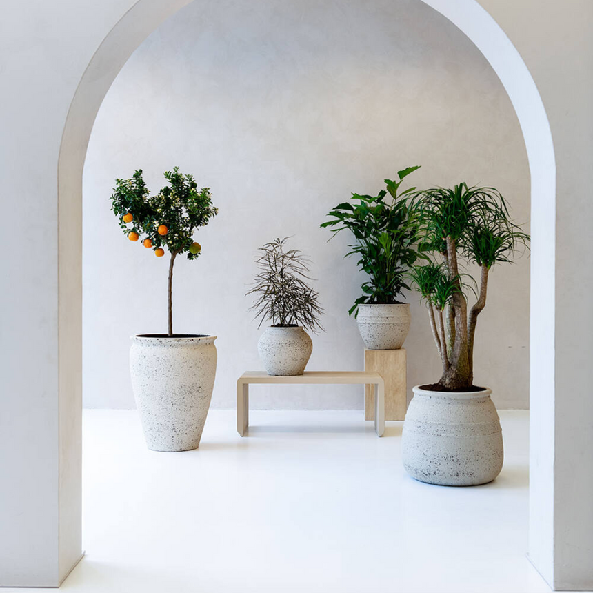 Hestia stone flower pot Ø52