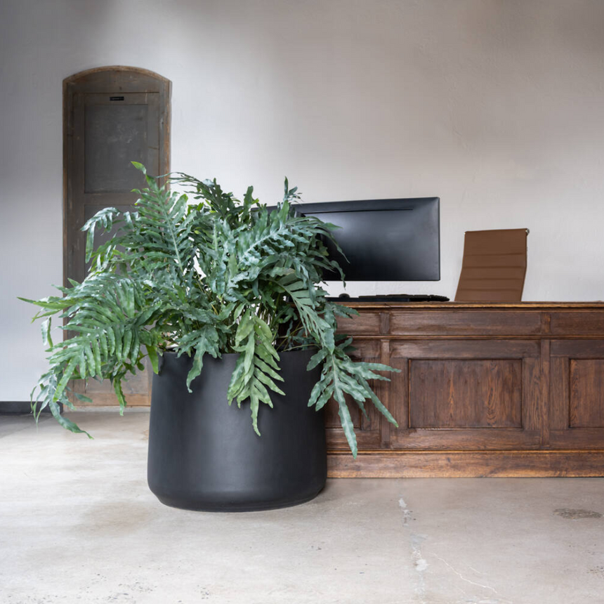 Jumbo Patt kő virágtartó Ø119