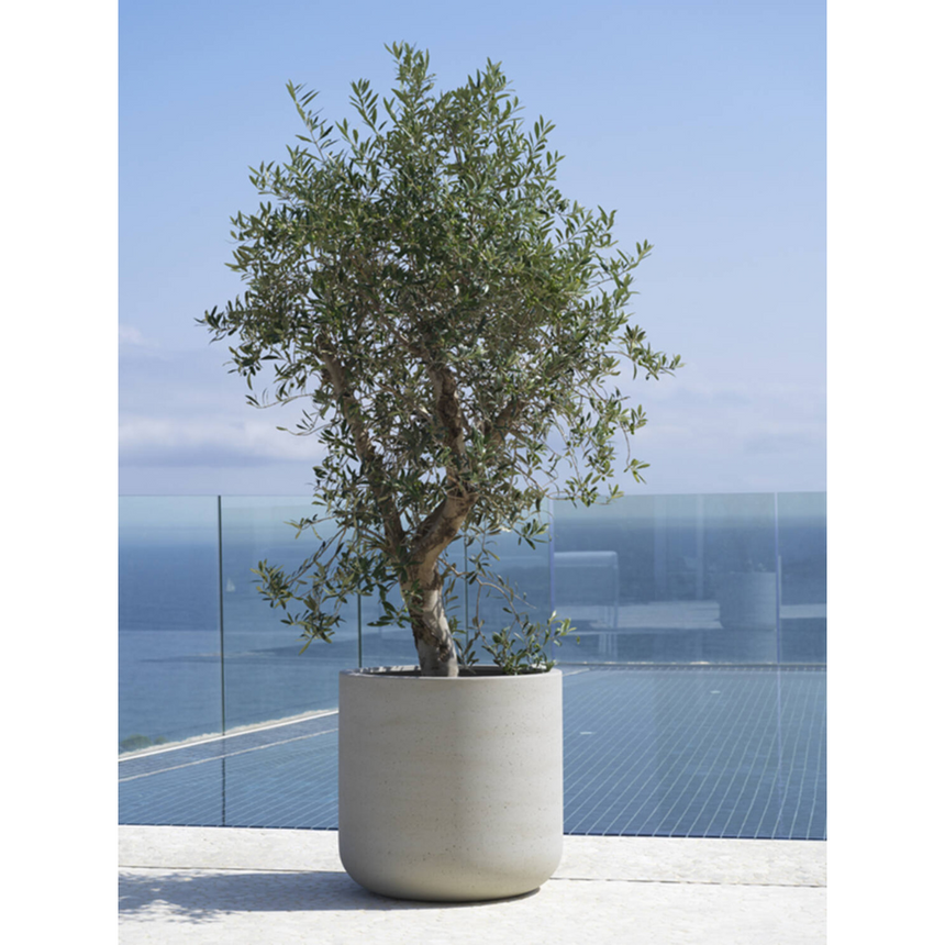 Jumbo Charlie kő virágtartó Ø73