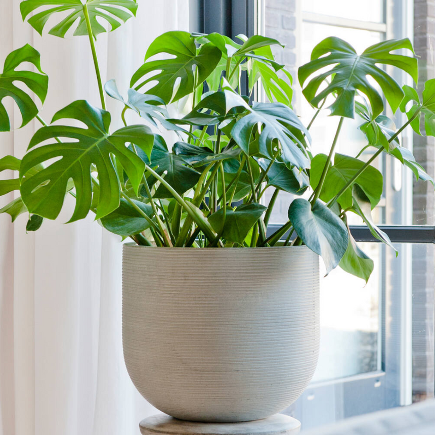 Cody stone flower pot Ø42