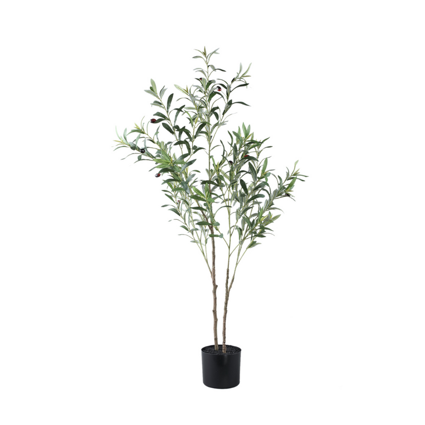 Olive Tree műnövény