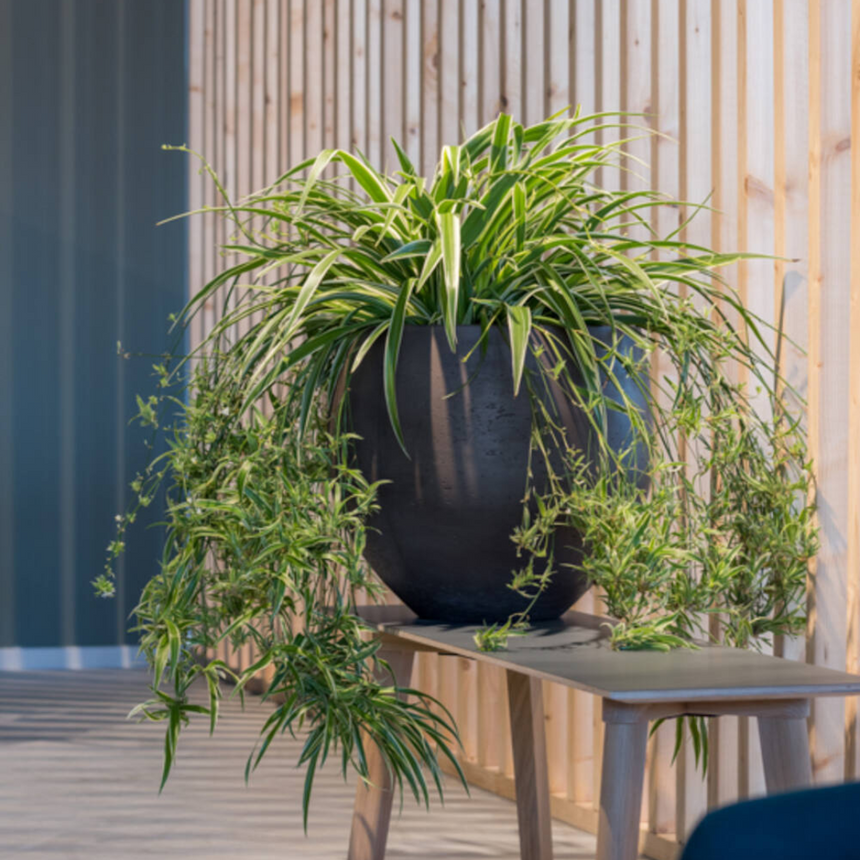 Orb clay flower pot Ø48
