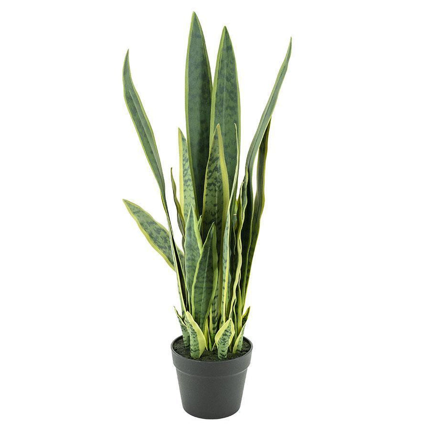 Sansevieria műnövény M-0